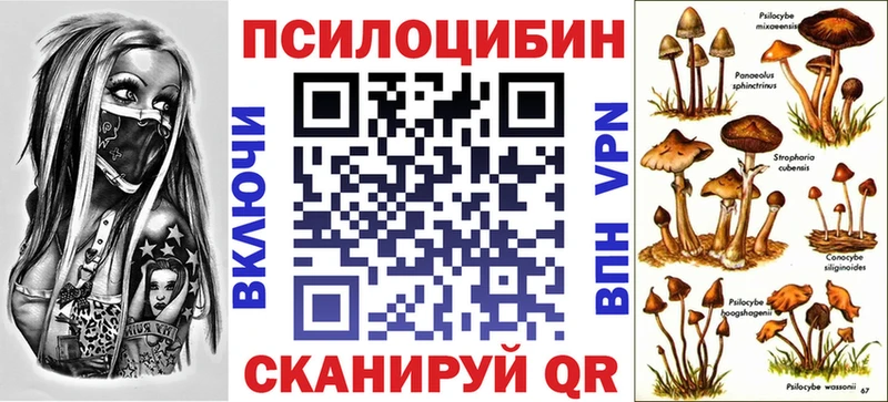 Галлюциногенные грибы Psilocybine cubensis  Приозерск 